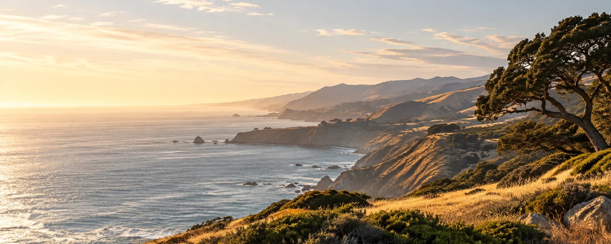 Illustrated Central Coast landscape